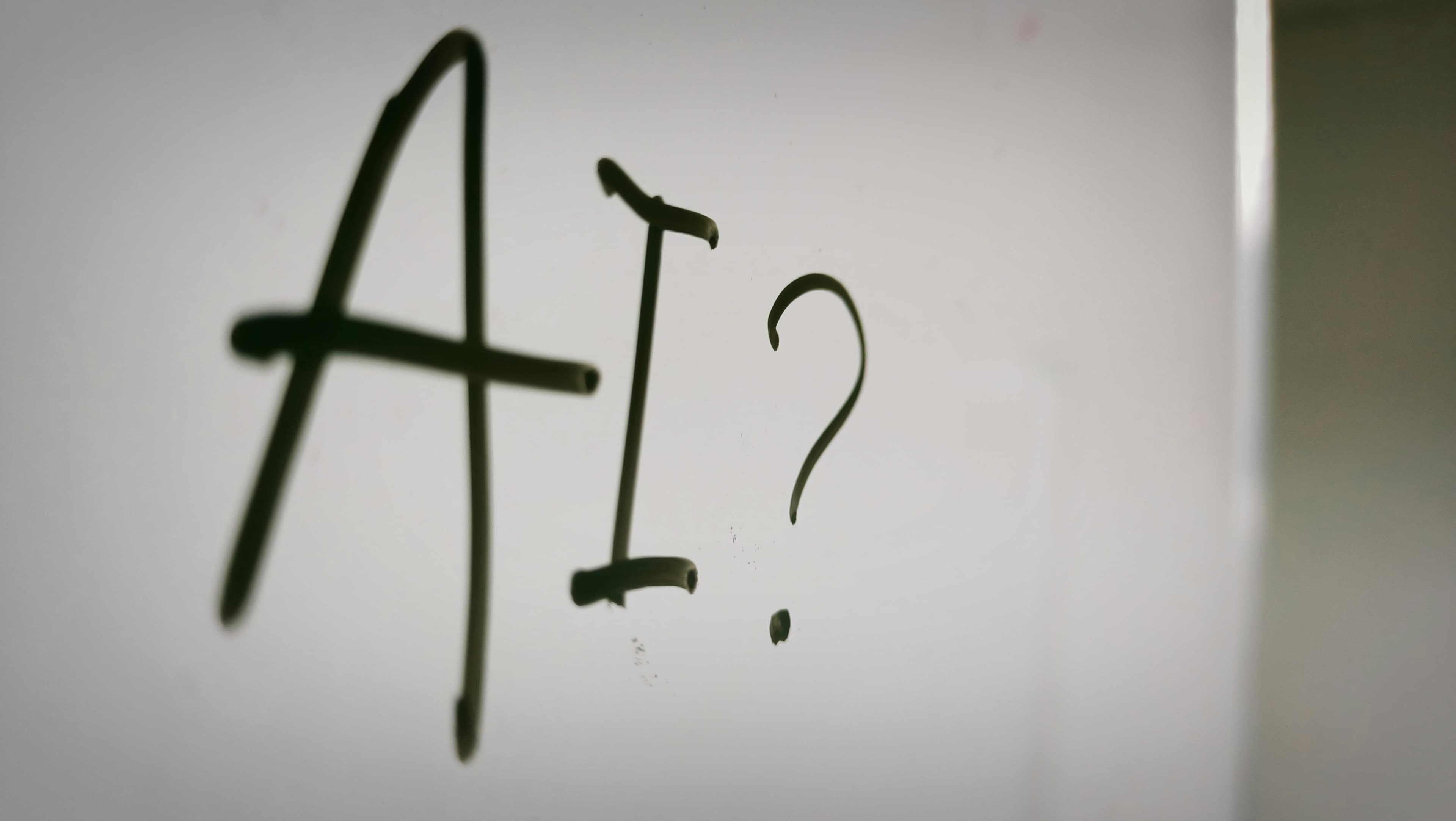 Al Vigier: Canada's AI strategy shouldn't include secret Palantir bills