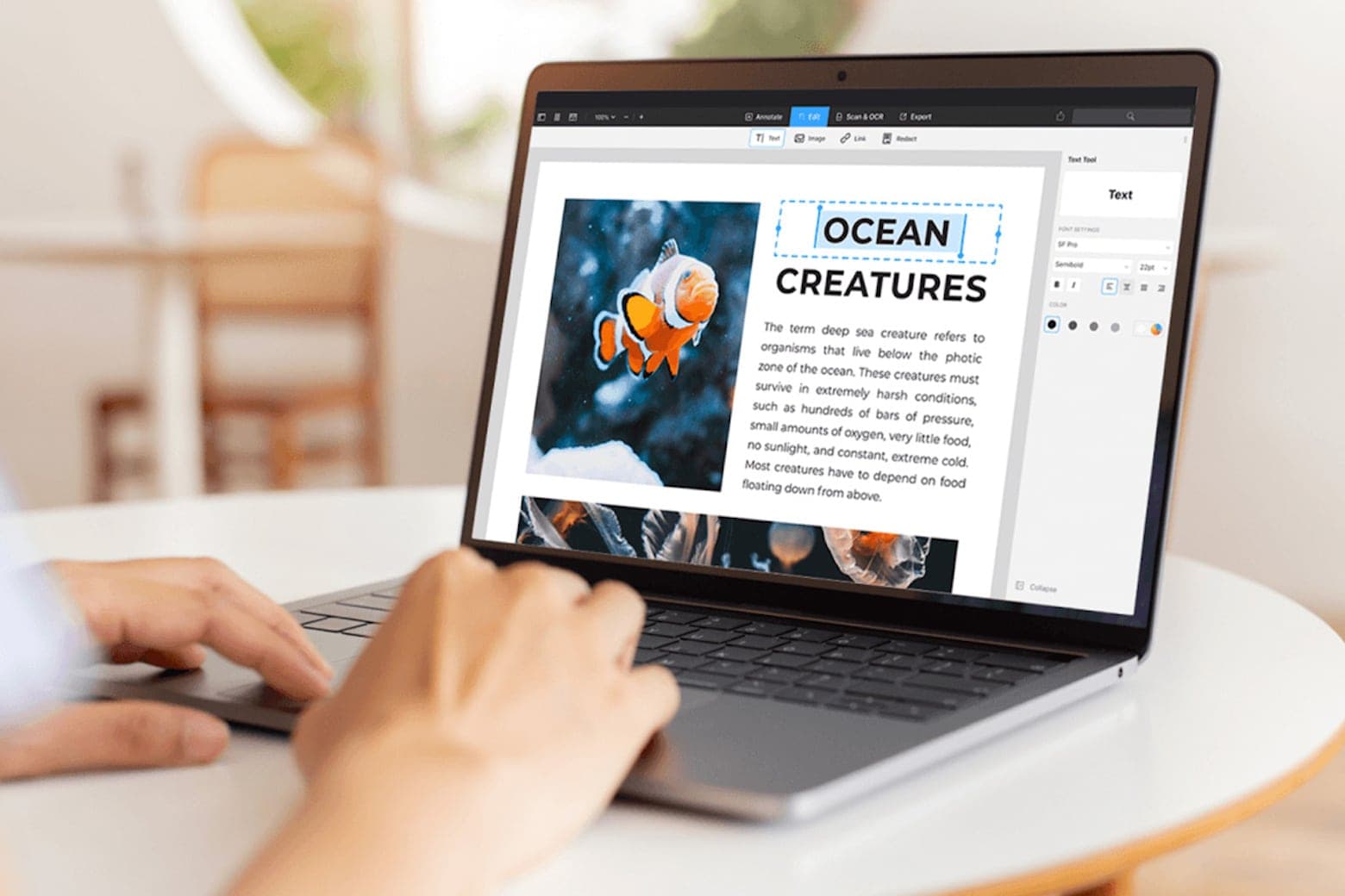 Score a lifetime license to PDF Expert for Mac at 50% off
