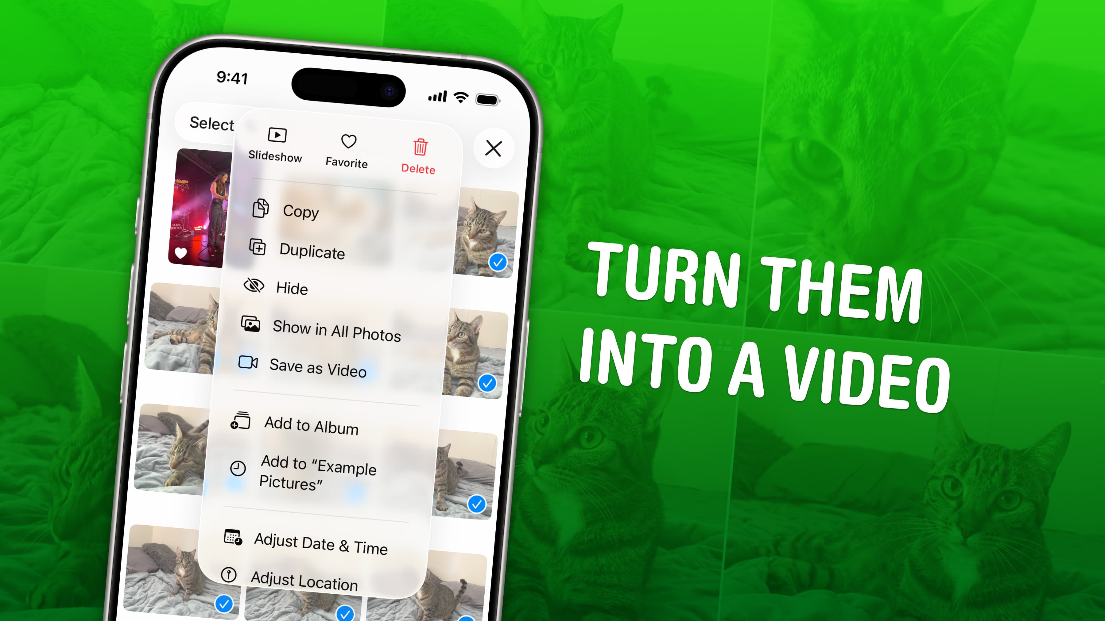 Convert your iPhone’s Live Photos to video in seconds