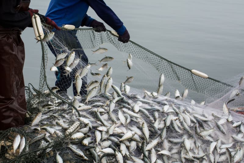 Cybercrooks trawl Fishbrain to net password hashes