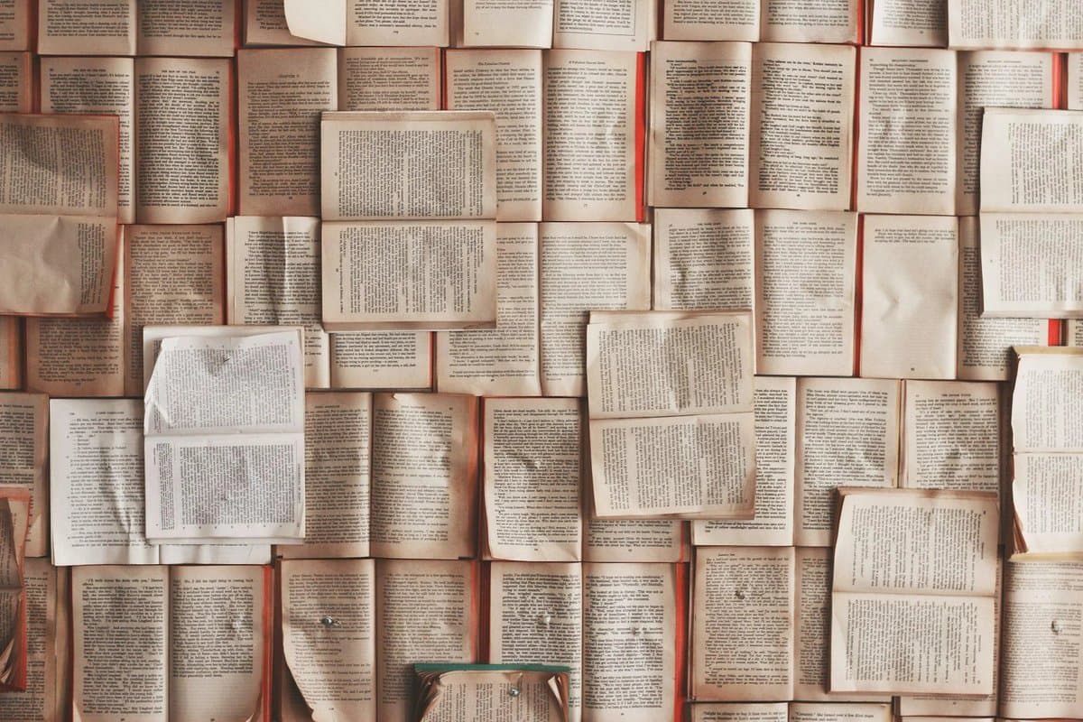 AI companies are shredding rare books