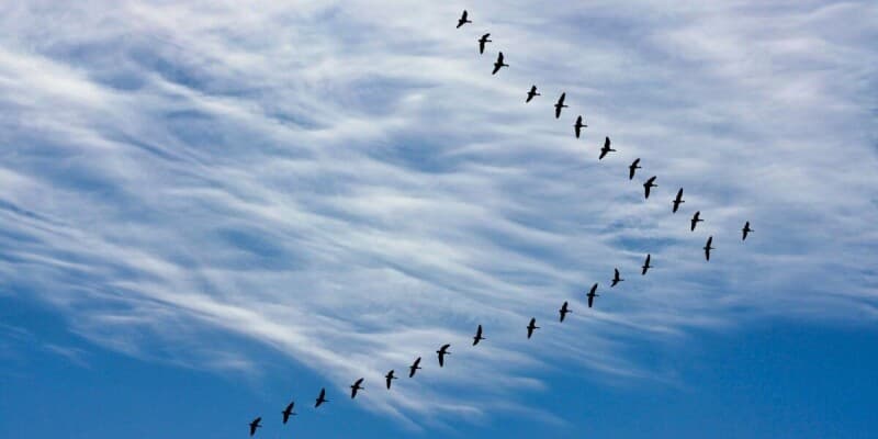 Microsoft ends one of the last ways to buy VMware without big bundles