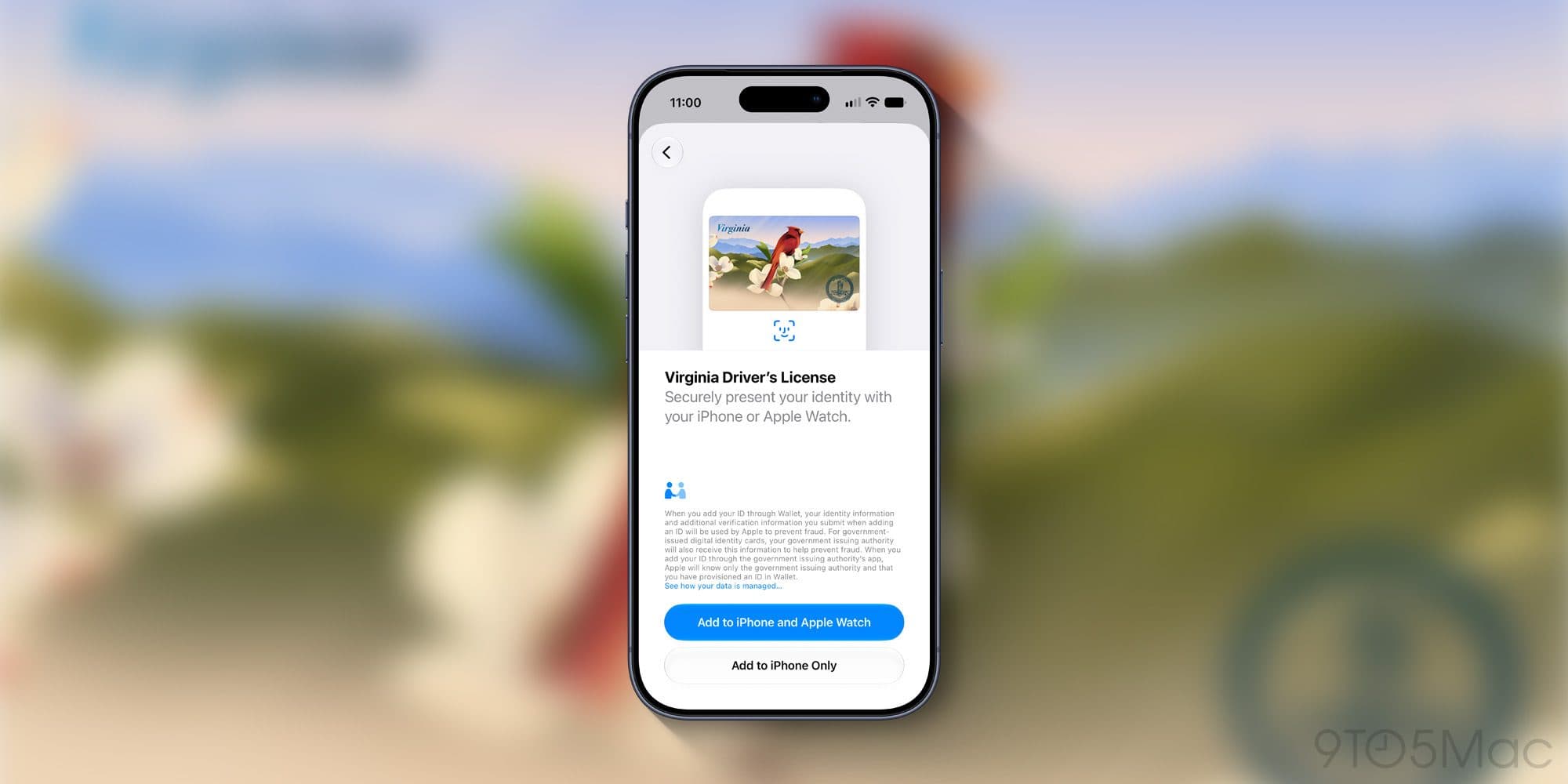 Apple Wallet driver’s license support launches in Virginia