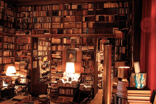 To become a better writer, read as much as you can