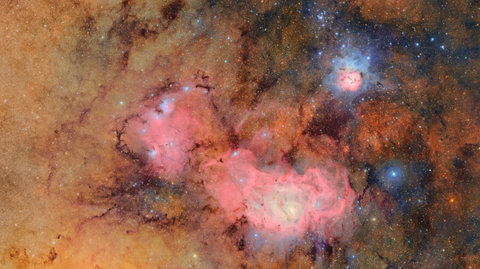 A 10-year sky survey begins filming a 'cosmic movie,' cyborg cockroaches go for a dive and more science stories