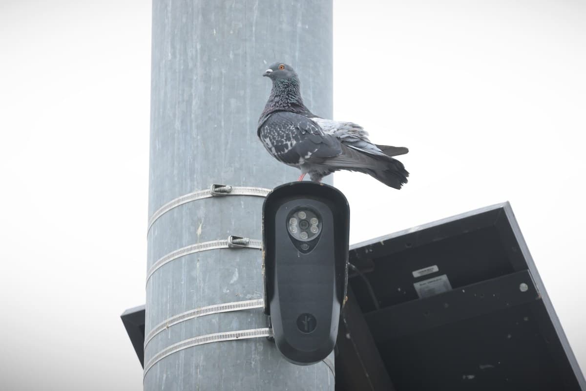 Florida and Texas move to block Flock cameras over privacy concerns
