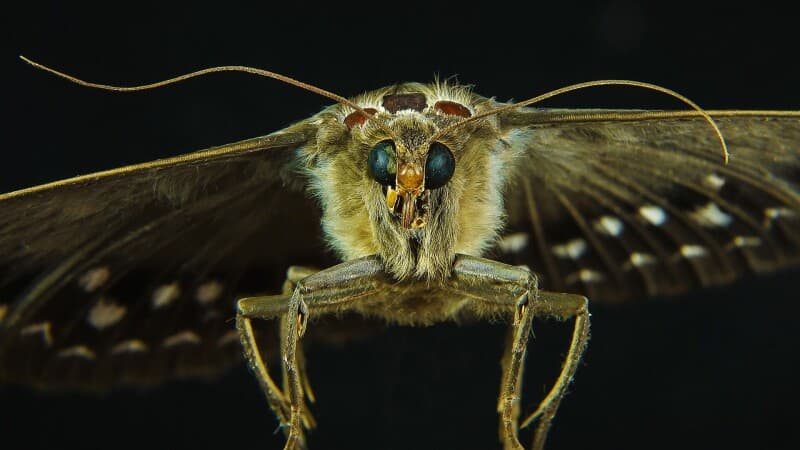 421 bugs in Microsoft's Patch Tuesday release, and the Norks have already attacked one