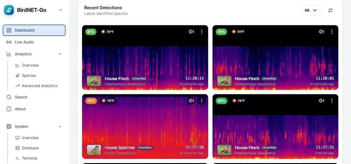 I turned my security cameras into an automatic bird identification system