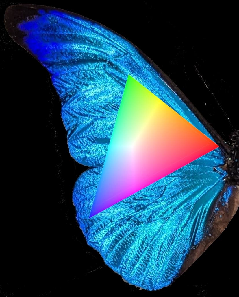 Where to Find the Colors Your Screen Can't Show You