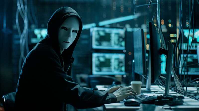 Attackers pummel critical WordPress vuln to create all sorts of mischief
