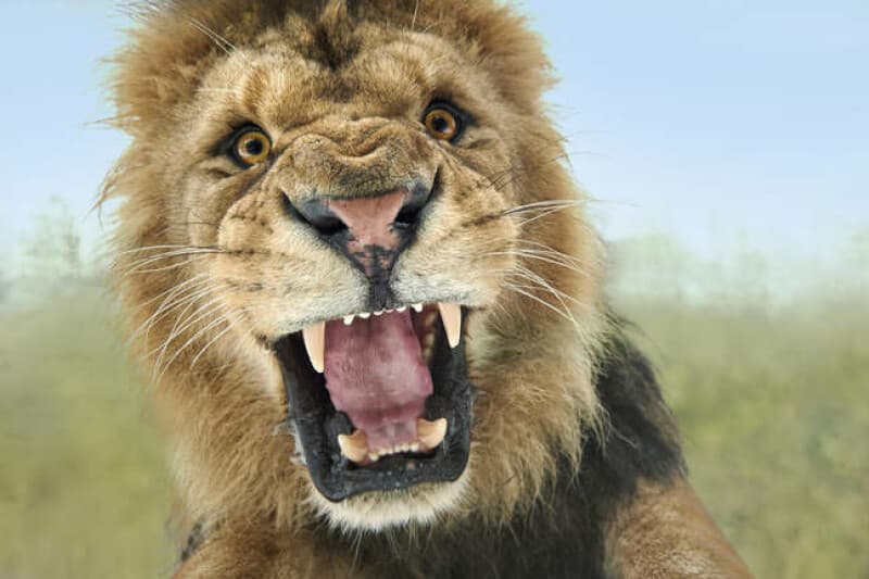 Nscale swallows lion's share of UK datacenter investment