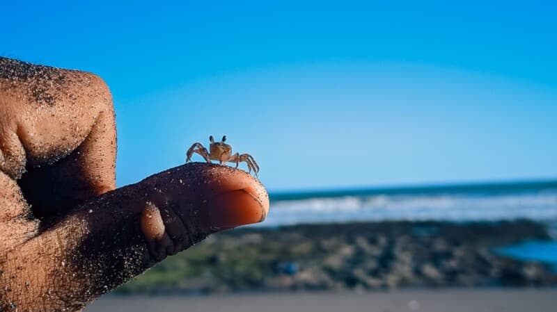 AI customers are coming around to the idea that small is beautiful