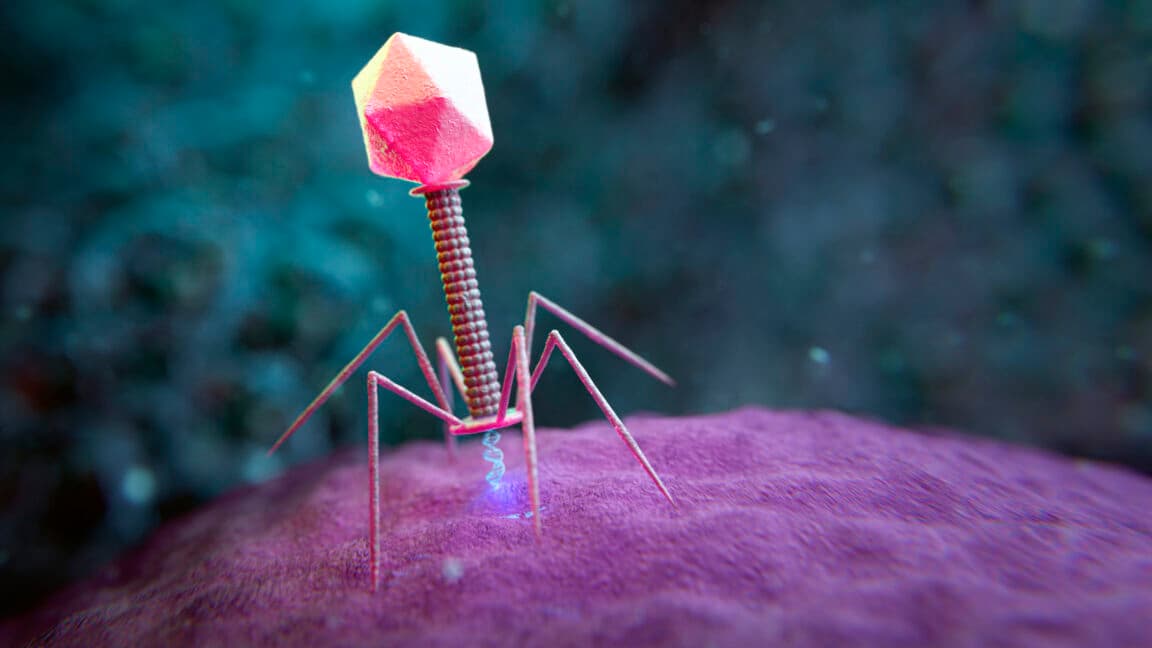 Large genome models used to design new viruses