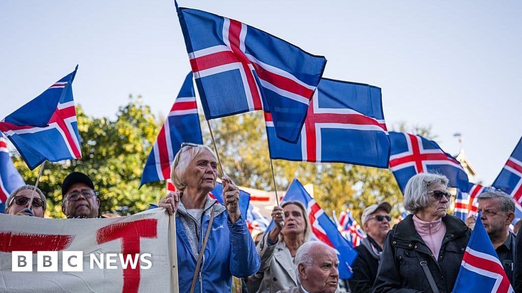 Iceland votes on whether to restart talks on joining EU