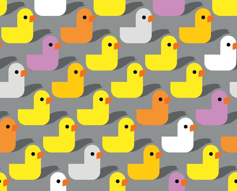 AWS buys DuckLabs, the people behind the popular in-process OLAP database