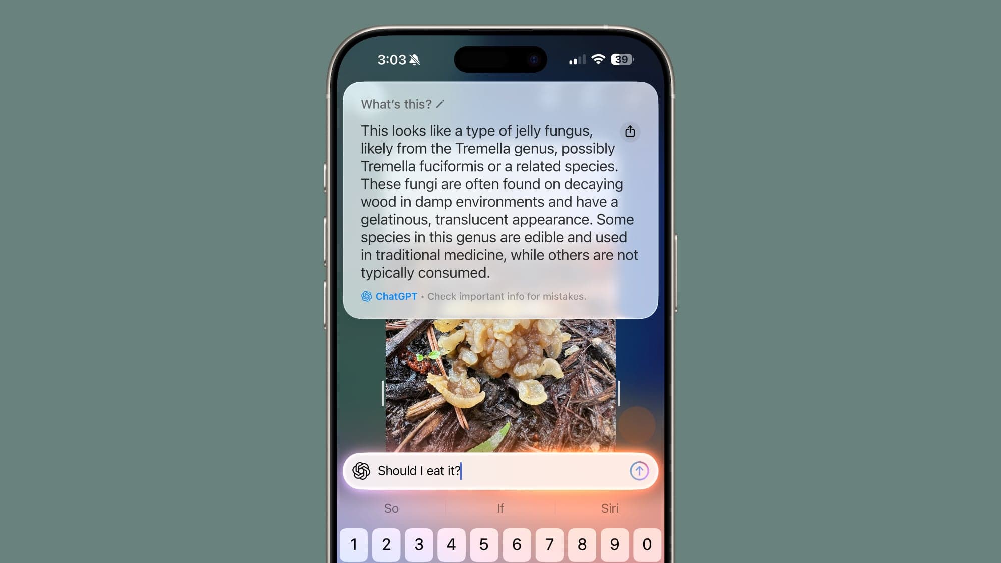 Apple Considering Ads Inside Visual Intelligence, Code Suggests